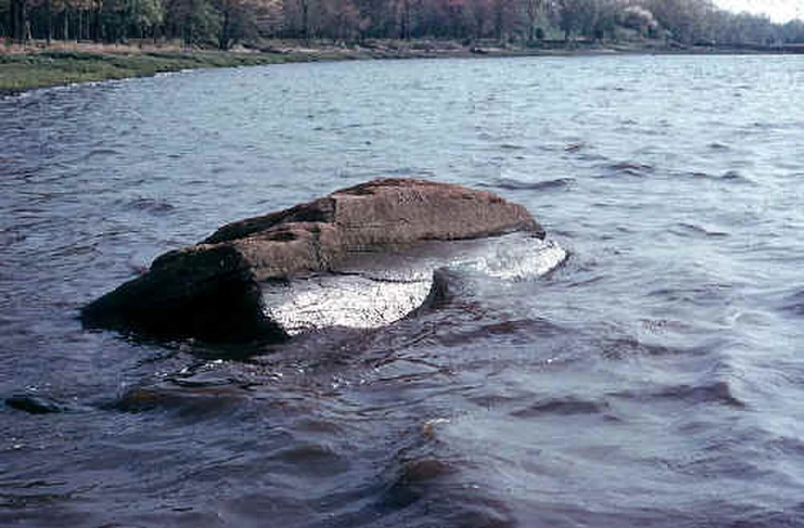 Dighton Rock